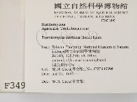 登錄號:F0003490藏品圖，第2張