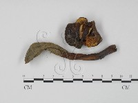 登錄號:F0003490藏品圖，第1張