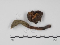 登錄號:F0003490藏品圖，第3張