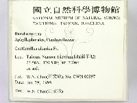 登錄號:F0003491藏品圖，第2張