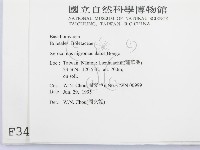 登錄號:F0003493藏品圖，第2張