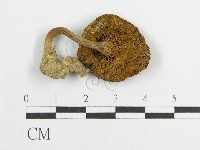 登錄號:F0003493藏品圖，第1張