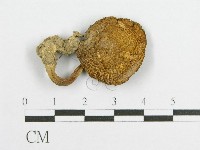 登錄號:F0003493藏品圖，第4張