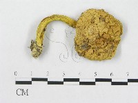 登錄號:F0003495藏品圖，第1張