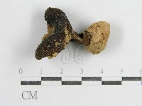 登錄號:F0003496藏品圖，第1張