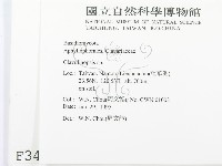 登錄號:F0003497藏品圖，第2張