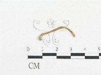 登錄號:F0003497藏品圖，第1張