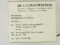 登錄號:F0003498藏品圖，第2張