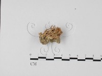 登錄號:F0003498藏品圖，第3張