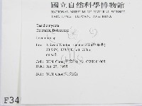 登錄號:F0003499藏品圖，第2張
