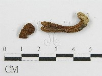 登錄號:F0003499藏品圖，第3張