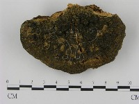 登錄號:F0003500藏品圖，第1張