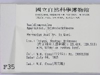 登錄號:F0003502藏品圖，第2張