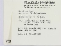 登錄號:F0003503藏品圖，第2張