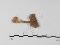 登錄號:F0003504藏品圖，第3張