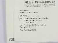 小菇屬藏品圖，第2張