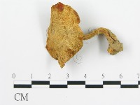 登錄號:F0003507藏品圖，第3張