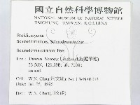 登錄號:F0003508藏品圖，第2張