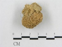 登錄號:F0003508藏品圖，第1張