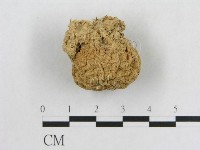 登錄號:F0003508藏品圖，第3張