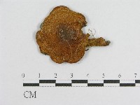 登錄號:F0003510藏品圖，第1張