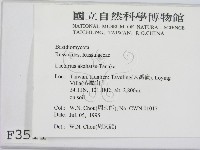 登錄號:F0003511藏品圖，第2張