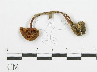 登錄號:F0003512藏品圖，第3張