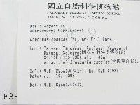 登錄號:F0003516藏品圖，第2張