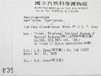 登錄號:F0003517藏品圖，第2張