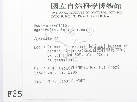 登錄號:F0003518藏品圖，第2張