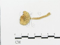 登錄號:F0003518藏品圖，第1張