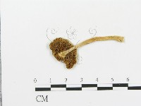 登錄號:F0003518藏品圖，第3張