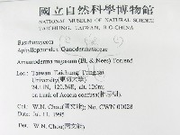 登錄號:F0003519藏品圖，第2張