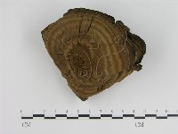 登錄號:F0003519藏品圖，第1張