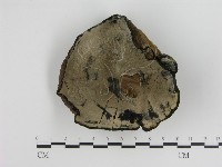 登錄號:F0003519藏品圖，第3張