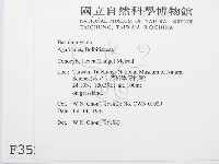 登錄號:F0003520藏品圖，第2張