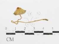 登錄號:F0003520藏品圖，第3張