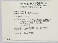 小菇屬藏品圖，第2張