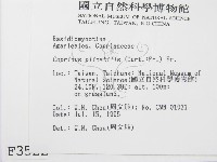 登錄號:F0003522藏品圖，第2張