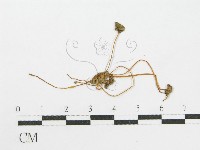 登錄號:F0003522藏品圖，第3張