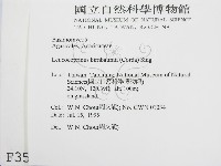 登錄號:F0003525藏品圖，第2張