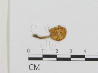 登錄號:F0003526藏品圖，第1張