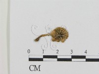 登錄號:F0003526藏品圖，第3張