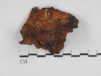 登錄號:F0003527藏品圖，第1張