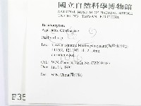 登錄號:F0003528藏品圖，第2張