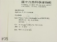 小菇屬藏品圖，第2張