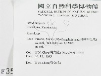 紅菇屬藏品圖，第2張