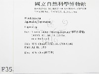 鬼傘屬藏品圖，第2張