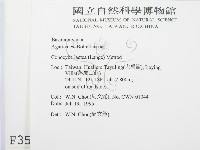 登錄號:F0003535藏品圖，第2張