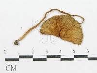登錄號:F0003535藏品圖，第3張
